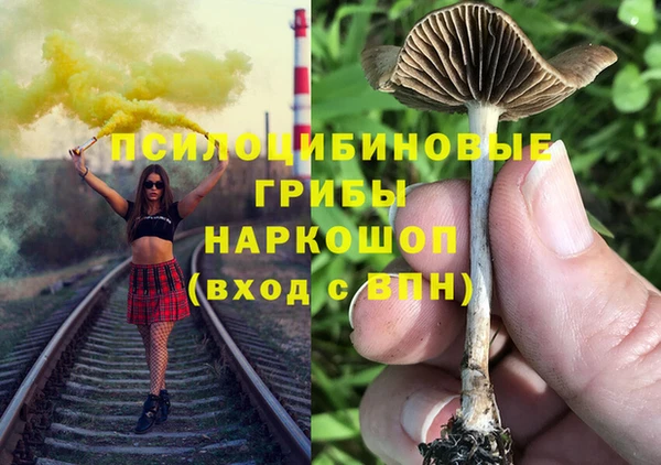 apvp Бугульма