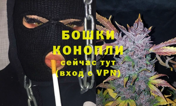 шишки Бронницы